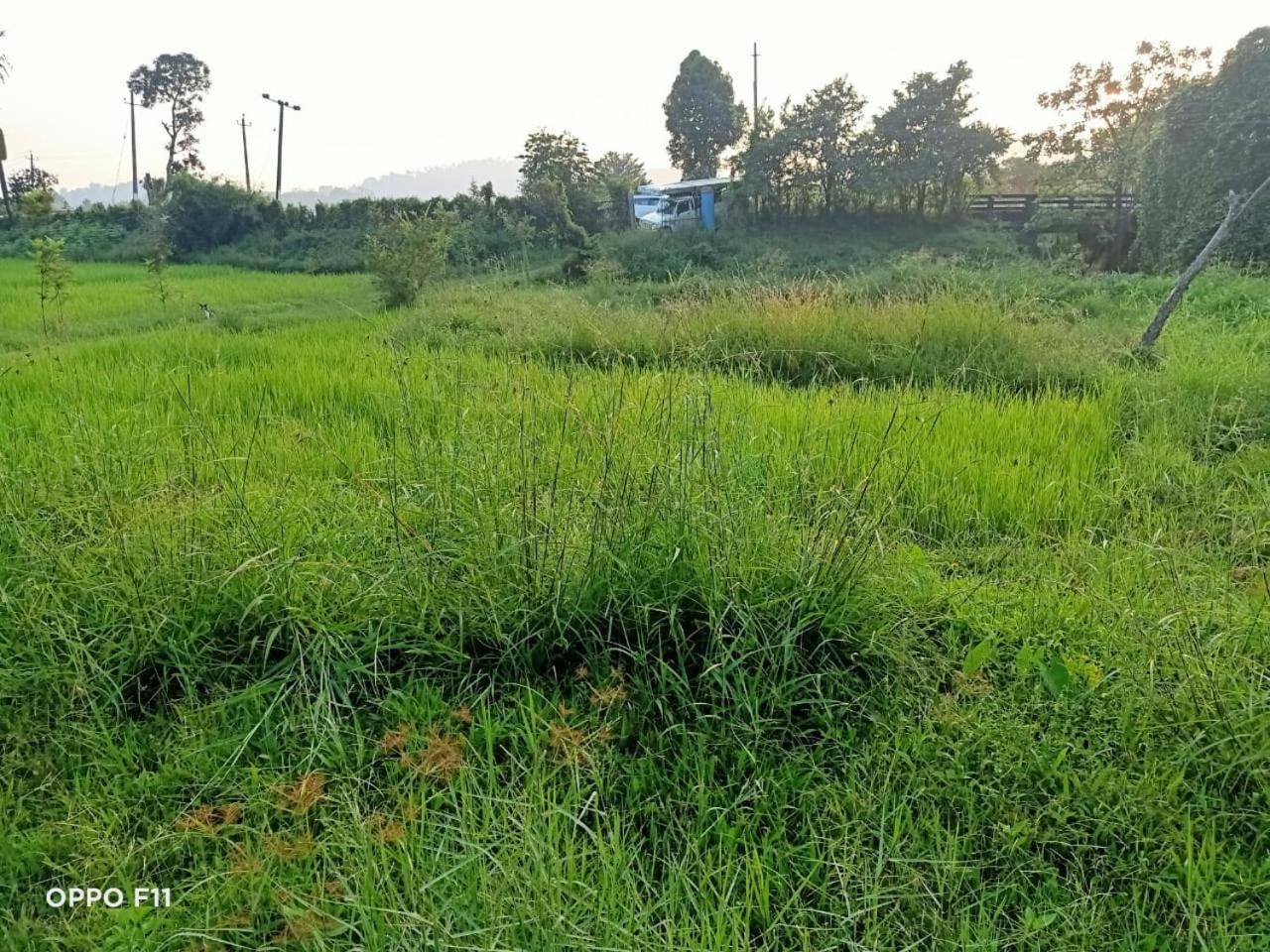 Samz Estate Stay 2Bhk Madikeri Εξωτερικό φωτογραφία